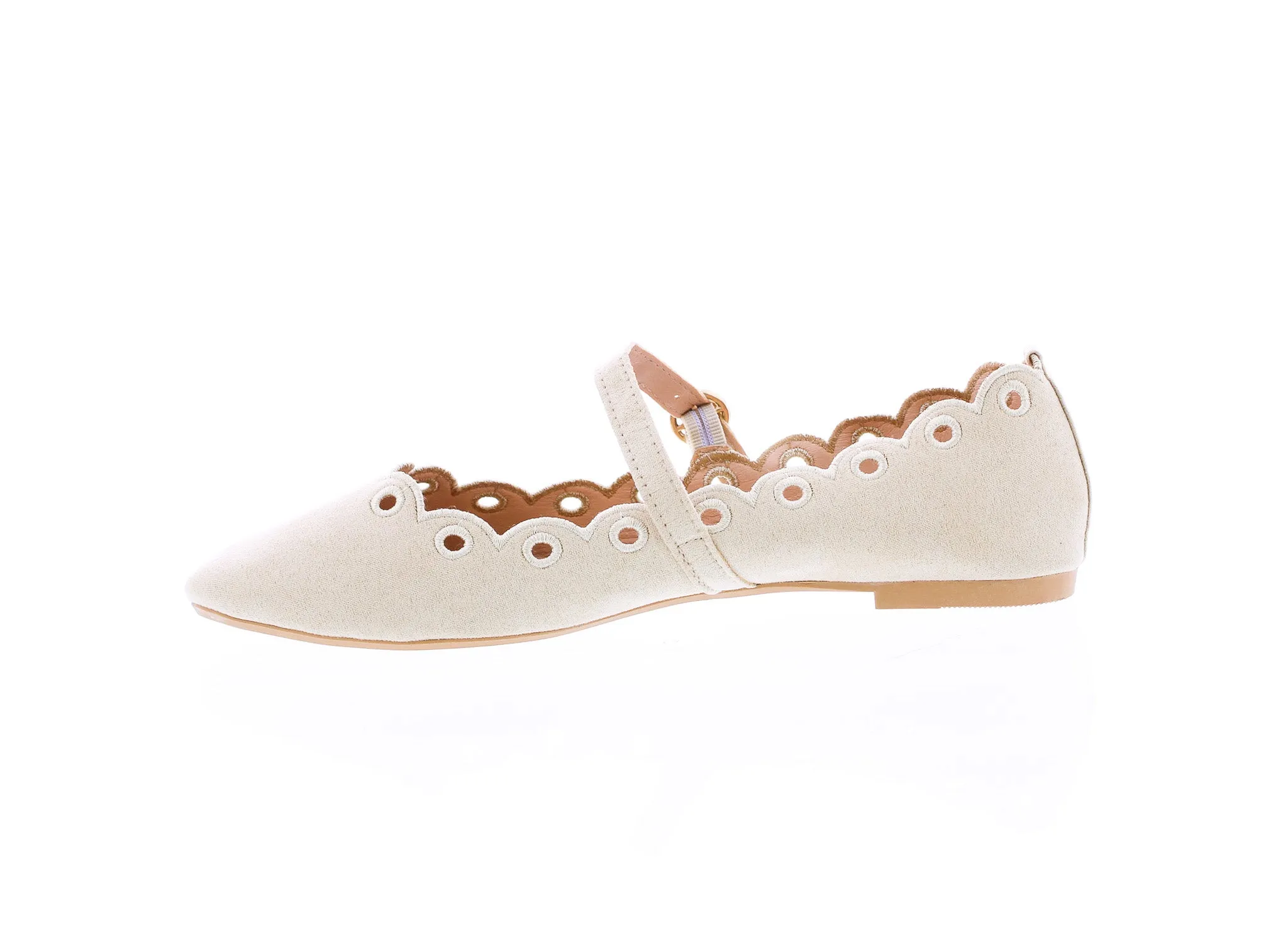 Women Embroidered Mary Jane Flats